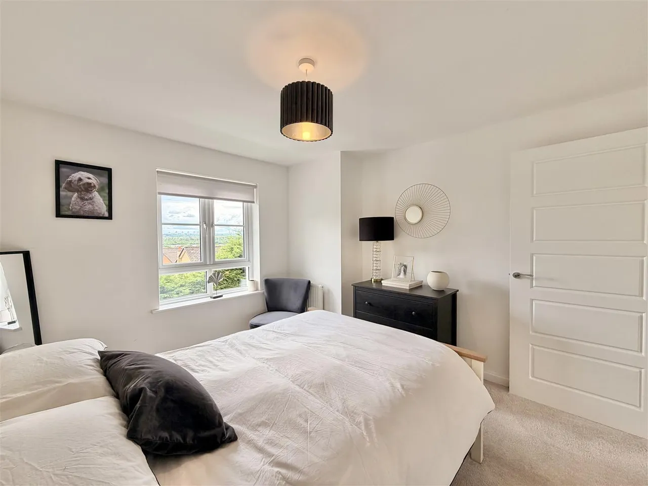 Tom Mccabe Gardens, Hamilton, Hamilton, ML3 6LW, photo 16