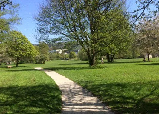 Brickfield Grove, Halifax, HX2, photo 16