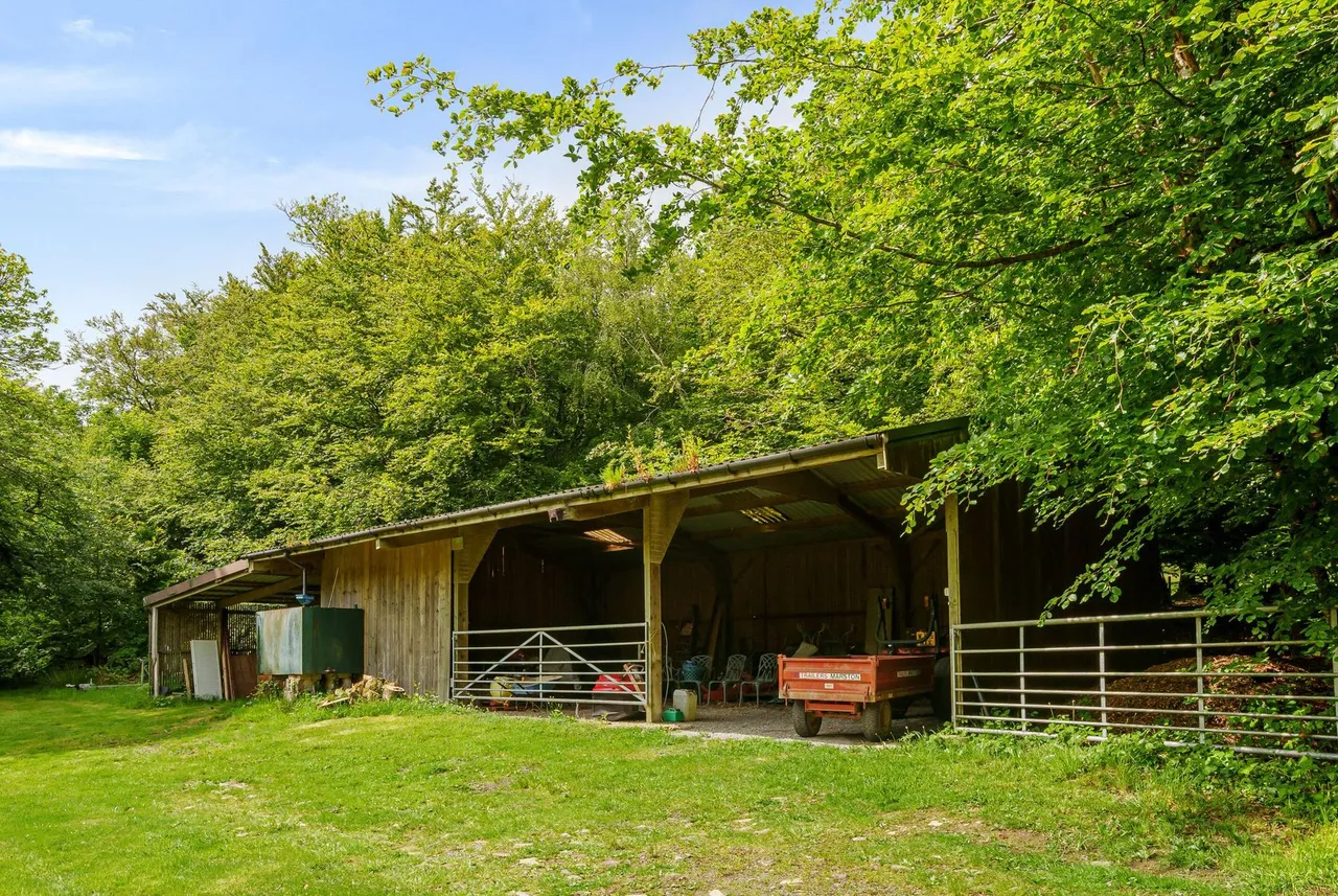 Tavistock, PL19, photo 47