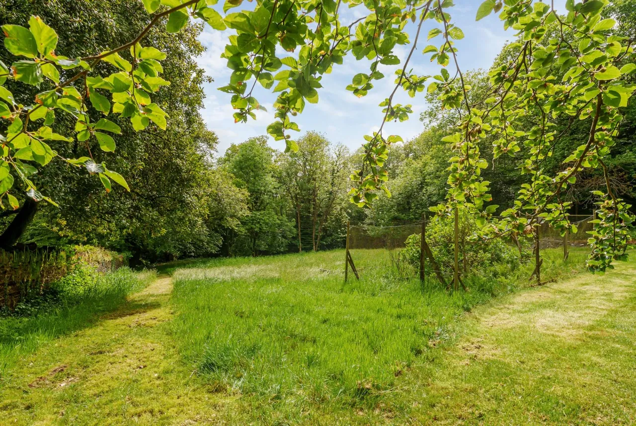 Tavistock, PL19, photo 44