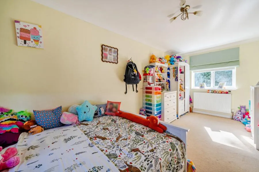 Cormorant Close, Basingstoke, RG22, photo 10