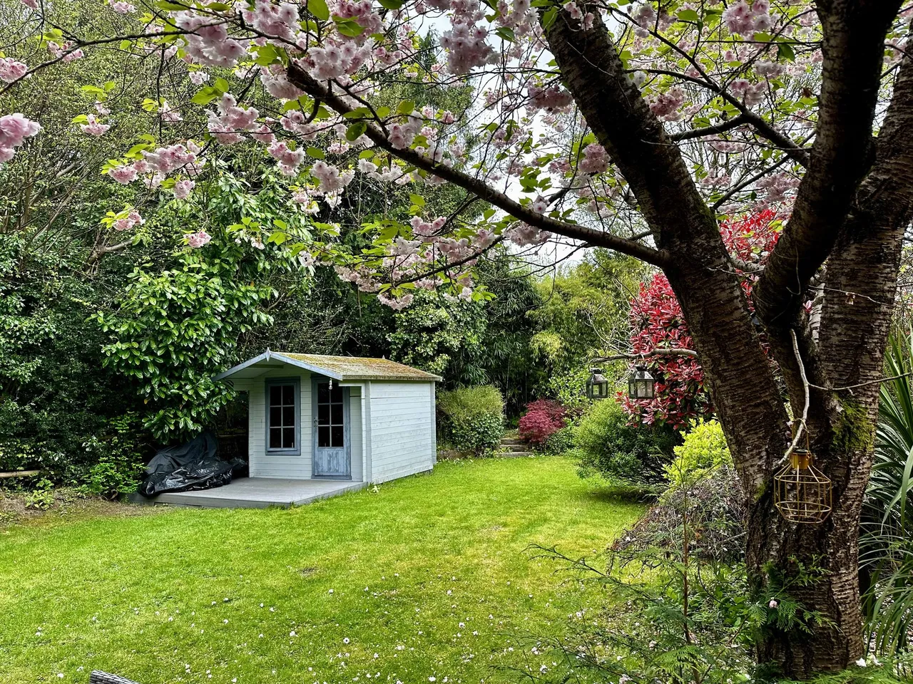 Underwood Road, Haslemere, GU27, photo 22