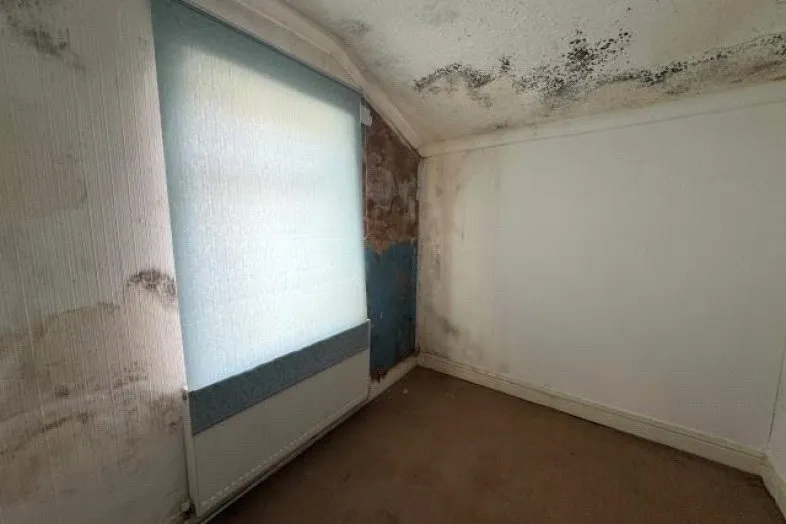 Burleigh Road North, Liverpool, L5, photo 9