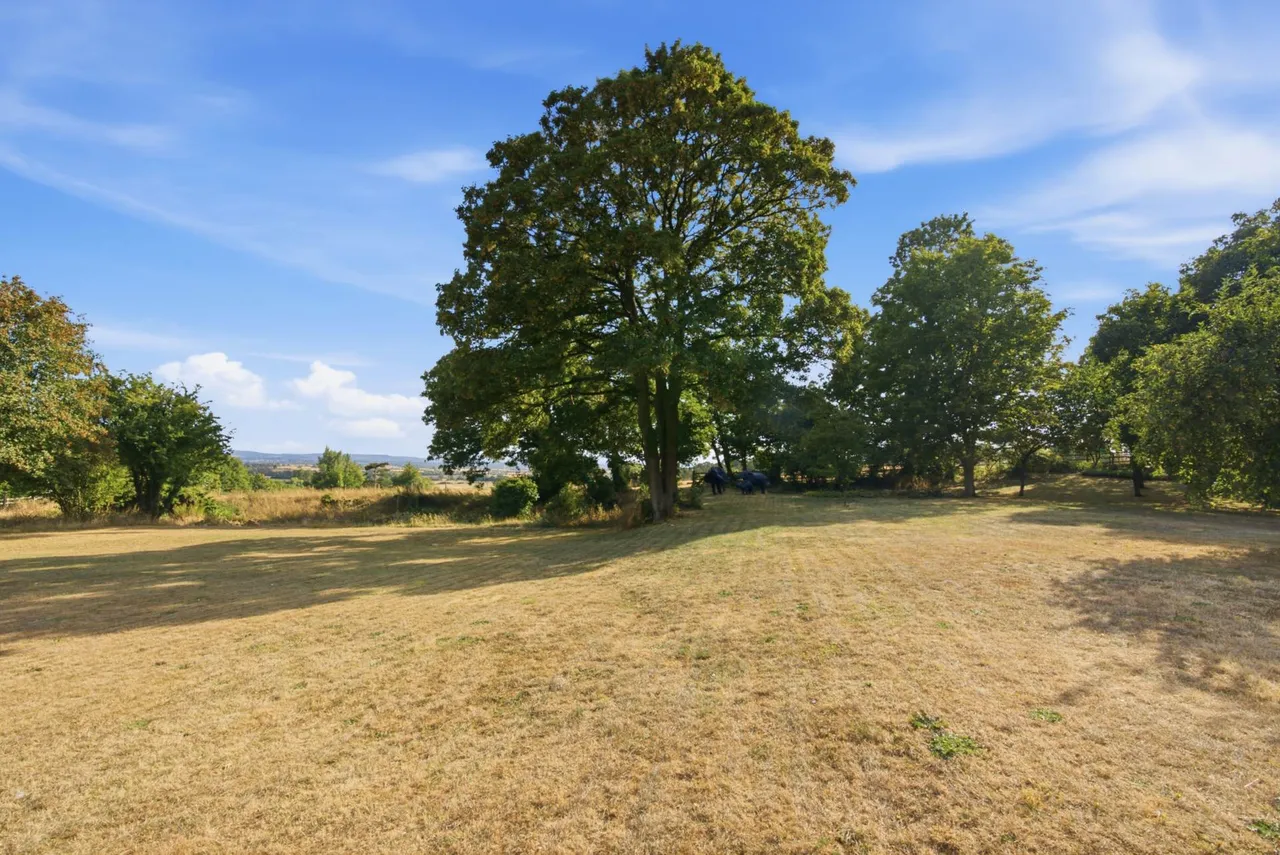 Oving Road, Whitchurch, photo 4