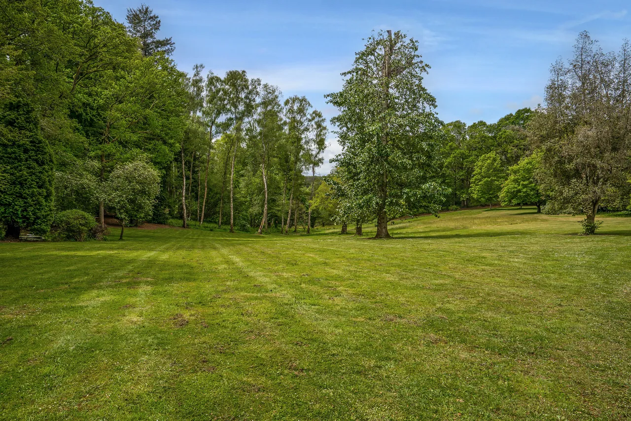 Danley Lane, Danley Hill, Haslemere, Surrey, photo 9