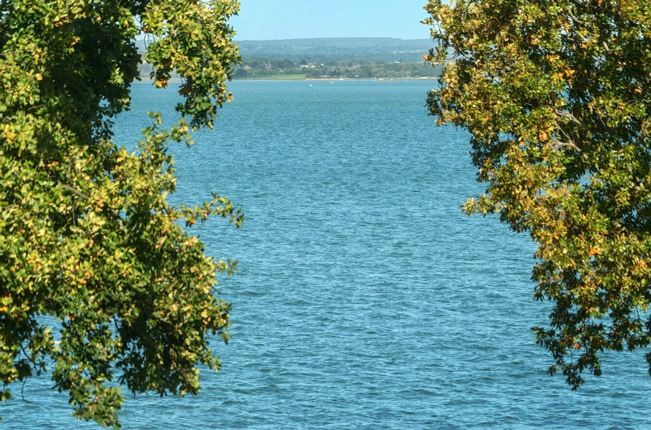 North Shore Road, Hayling Island, PO11, photo 19