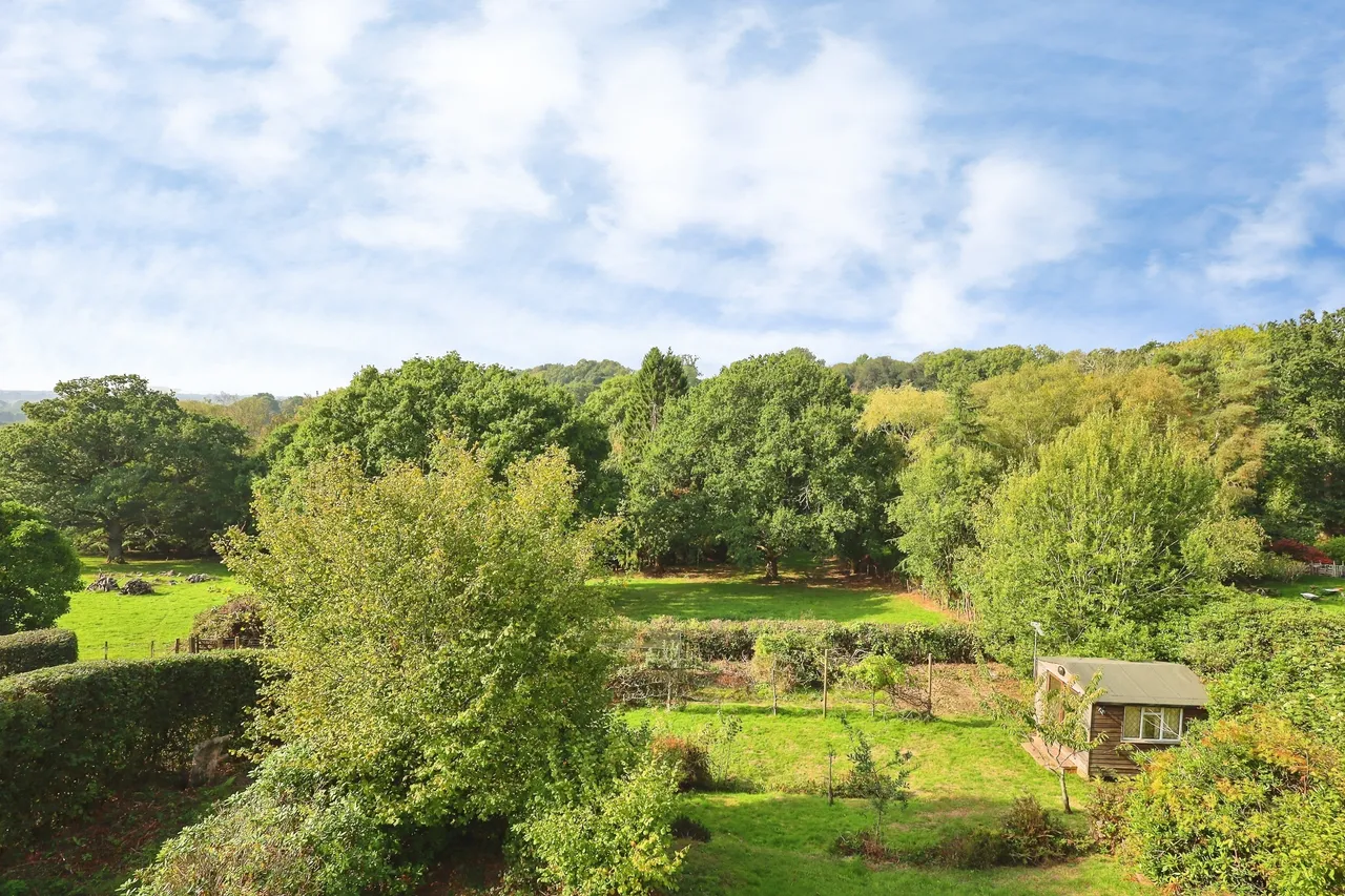 Hadlow Down, TN22, photo 3