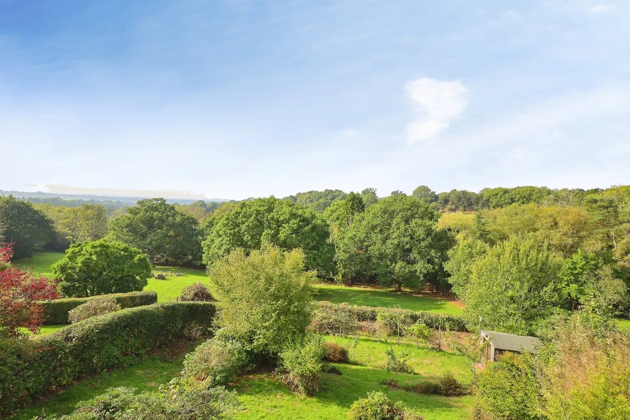 Hadlow Down, TN22, photo 4