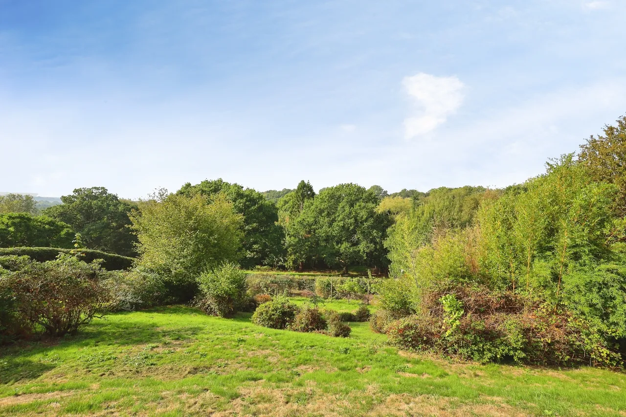 Hadlow Down, TN22, photo 16