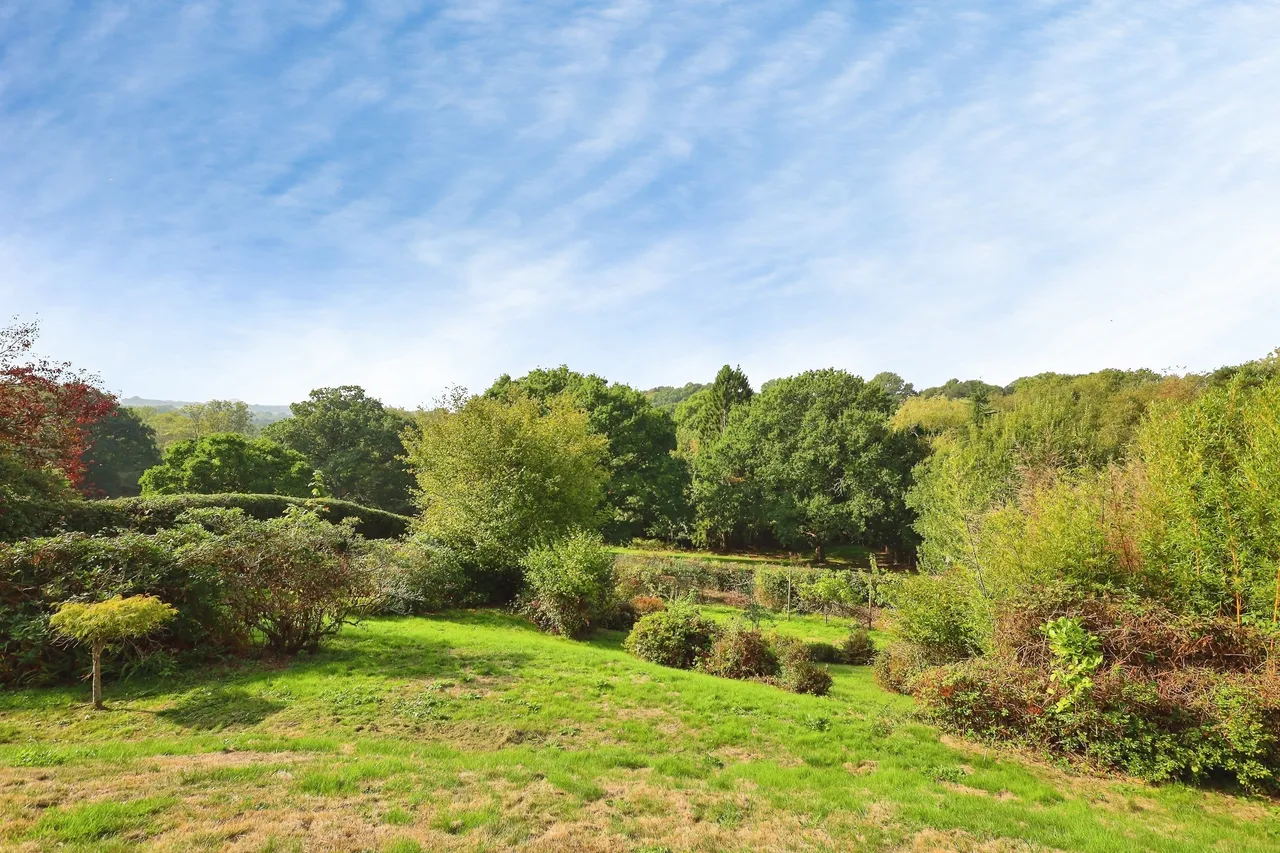 Hadlow Down, TN22, photo 15