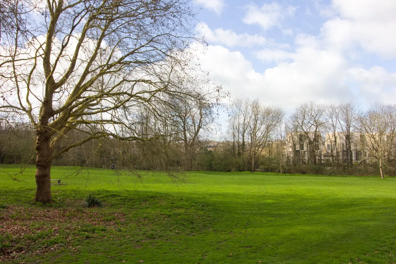 Nelson Place West, Bath, BA1, photo 12
