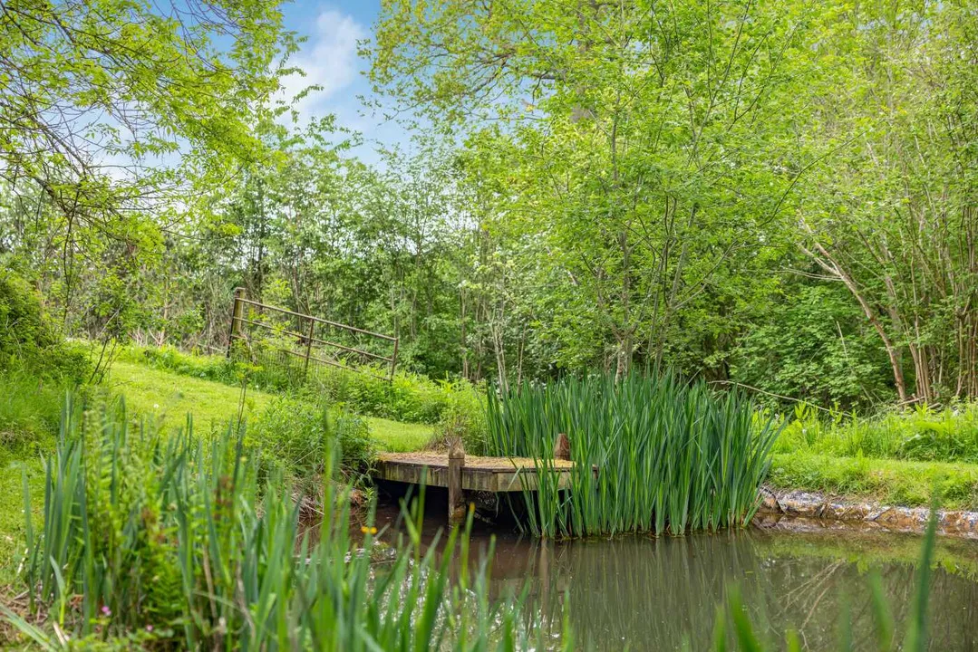 Ewyas Harold Common, Herefordshire, photo 20