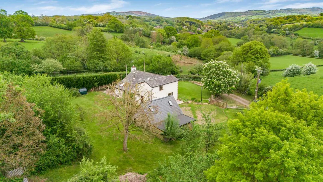 Ewyas Harold Common, Herefordshire, photo 59