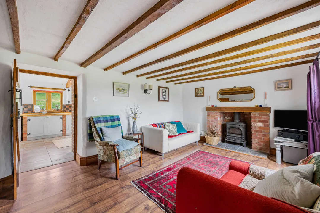 Ewyas Harold Common, Herefordshire, photo 5