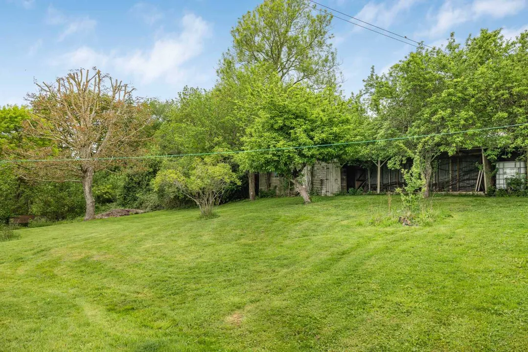 Ewyas Harold Common, Herefordshire, photo 28