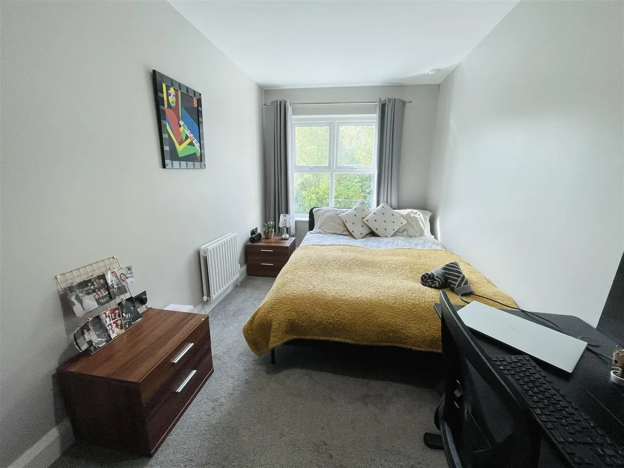 Stockmans Way, Belfast, BT9, photo 13
