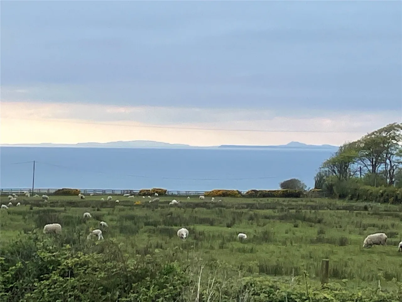 Parc Morlais, Llanon, SY23, photo 10