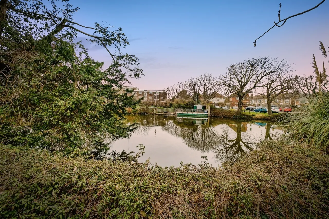 Swiss Gardens, Shoreham-by-Sea, BN43, photo 7