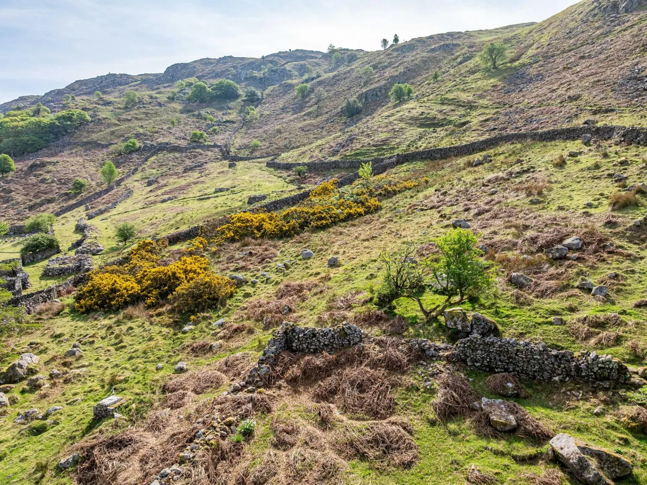 Brantrake & Old Brantrake, Eskdale, CA19, photo 65