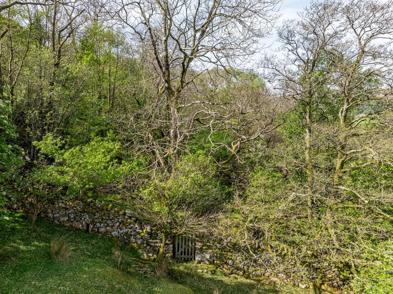 Brantrake & Old Brantrake, Eskdale, CA19, photo 66