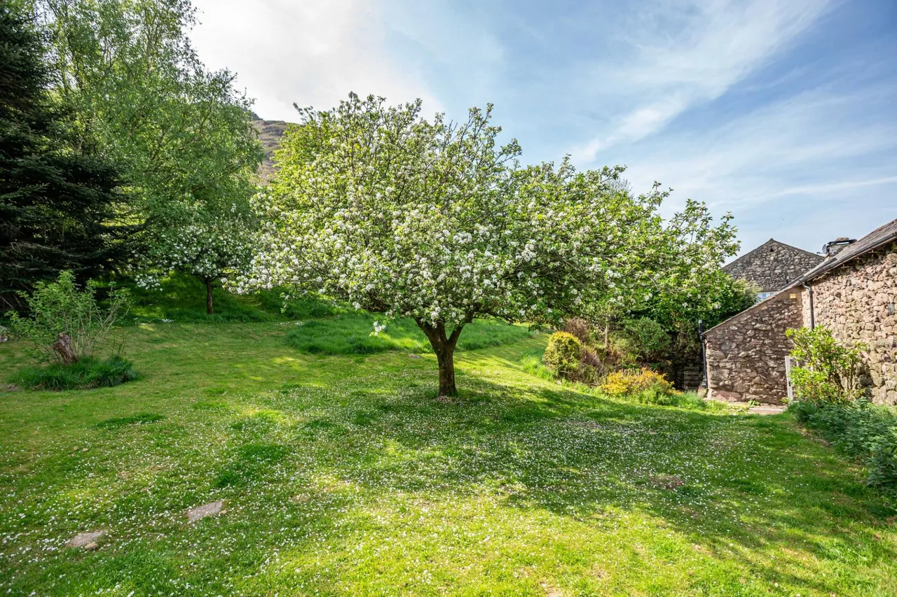 Brantrake & Old Brantrake, Eskdale, CA19, photo 51
