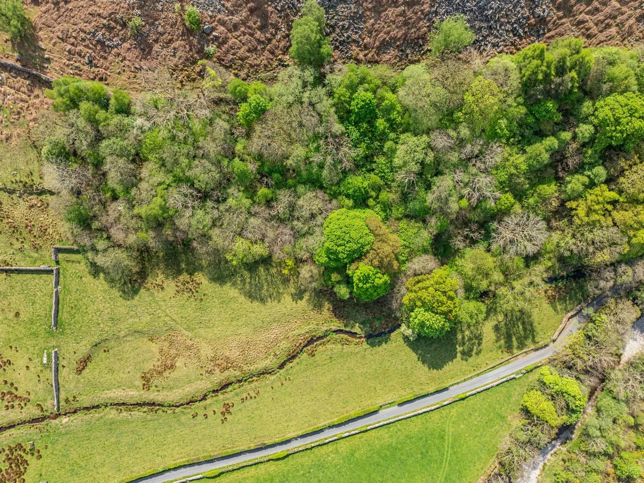 Brantrake & Old Brantrake, Eskdale, CA19, photo 59