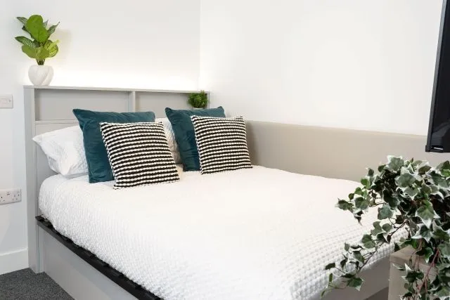 True Sky Studio, True Sheffield, 12 Tenter Street, Sheffield, S1 4XF, photo 9