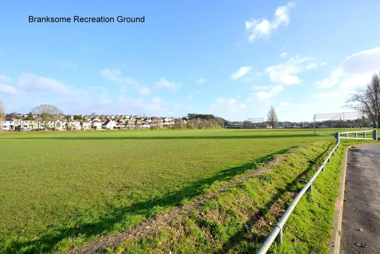 Cedar Way, BH12, photo 23