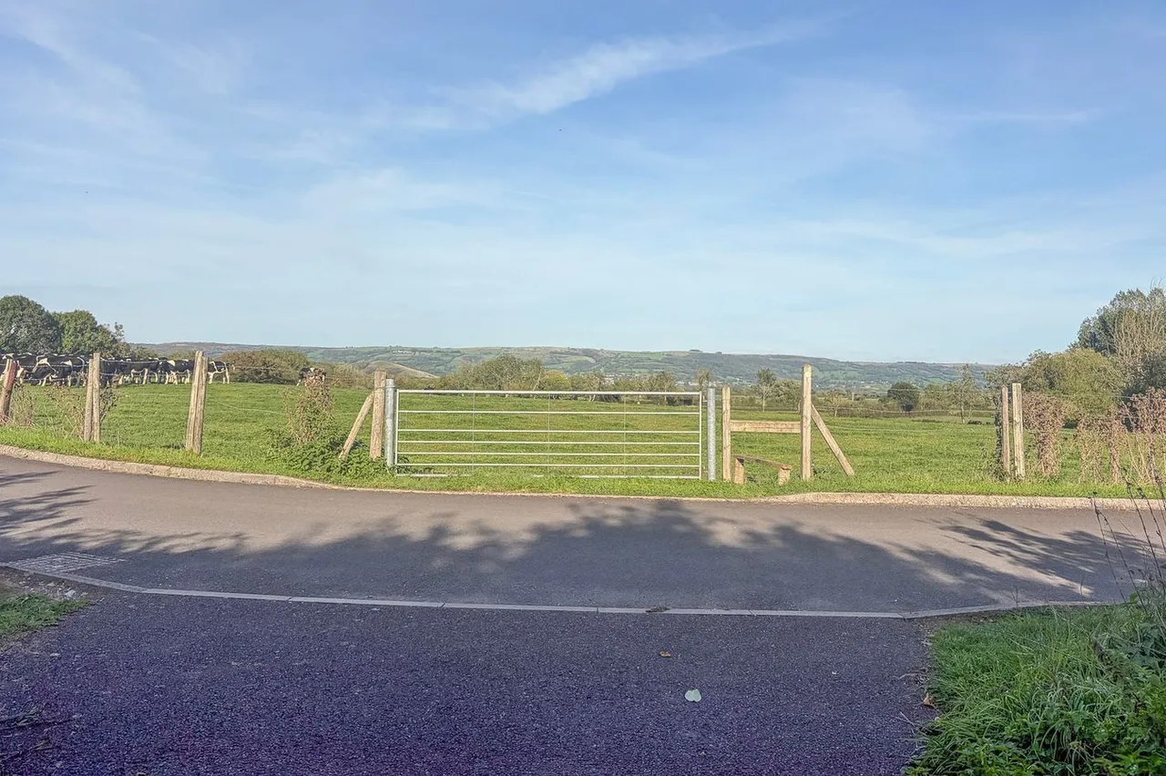 Cheddar Road, Wedmore, BS28, photo 21