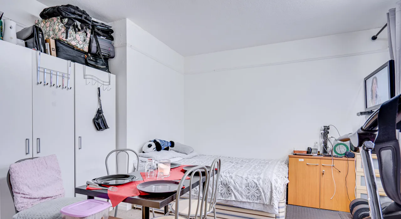 Large Three Bedroom Flat With Privat, photo 8