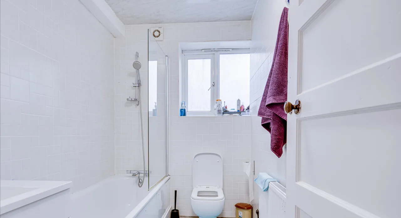 Large Three Bedroom Flat With Privat, photo 10