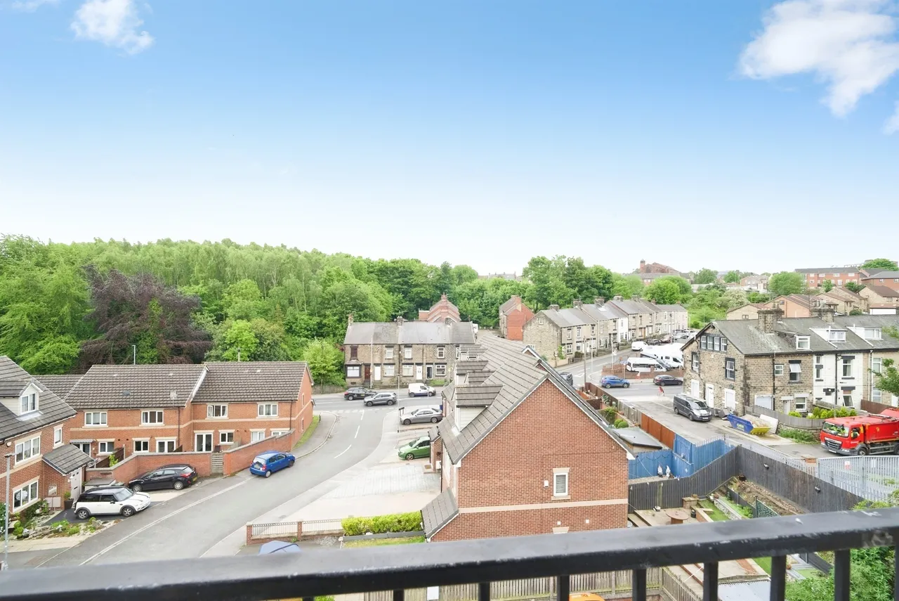 Oakwell Vale, Barnsley, photo 12