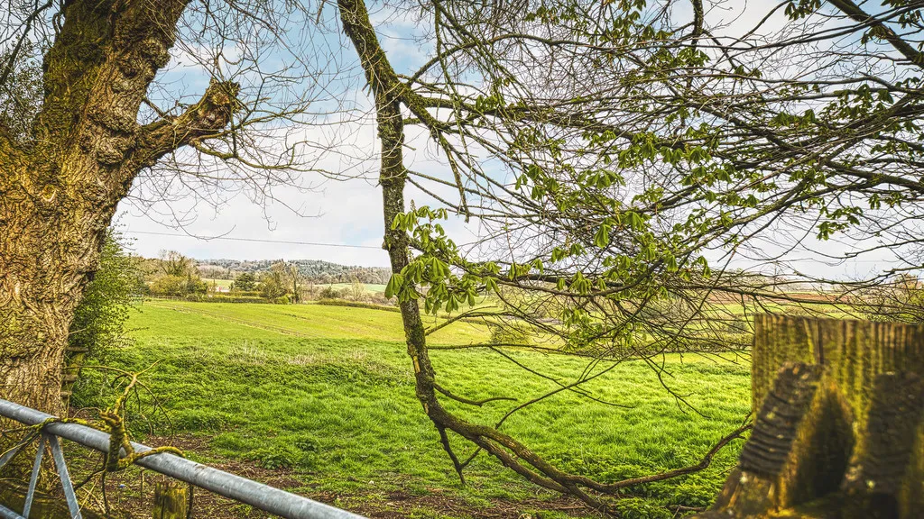 Wyaston, Ashbourne, photo 29