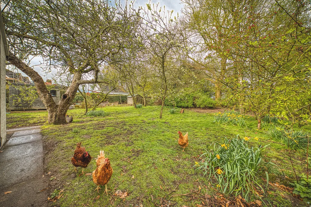 Wyaston, Ashbourne, photo 30