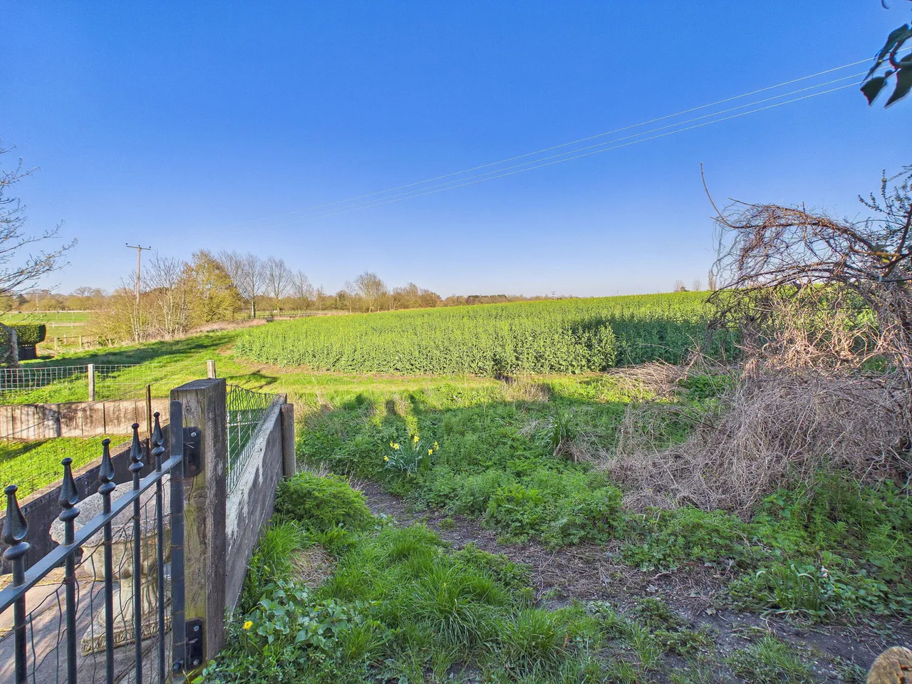 The Street, Roxwell, CM1, photo 12