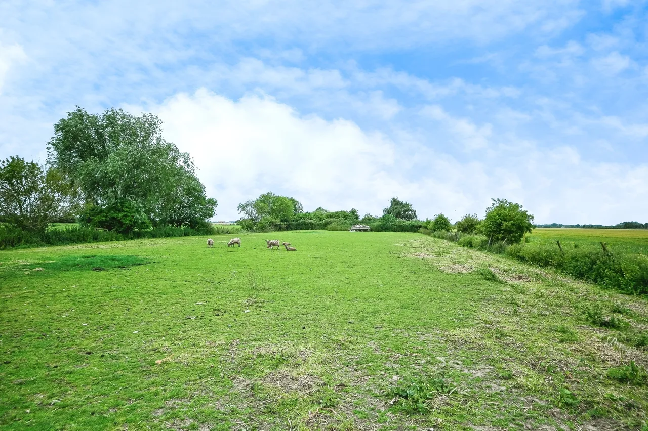 School Road, St. Johns Fen End, Wisbech, Norfolk, PE14, photo 16