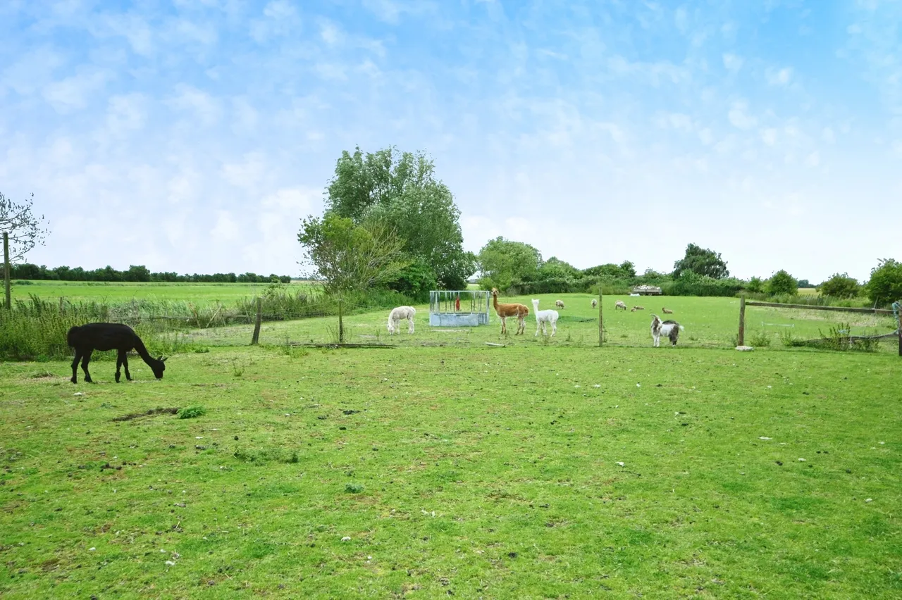 School Road, St. Johns Fen End, Wisbech, Norfolk, PE14, photo 4