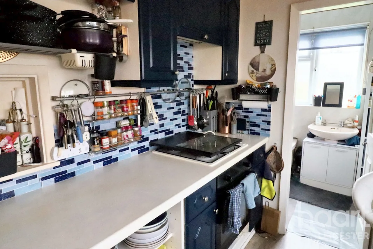 The Avenue, Leicester, LE3, photo 11