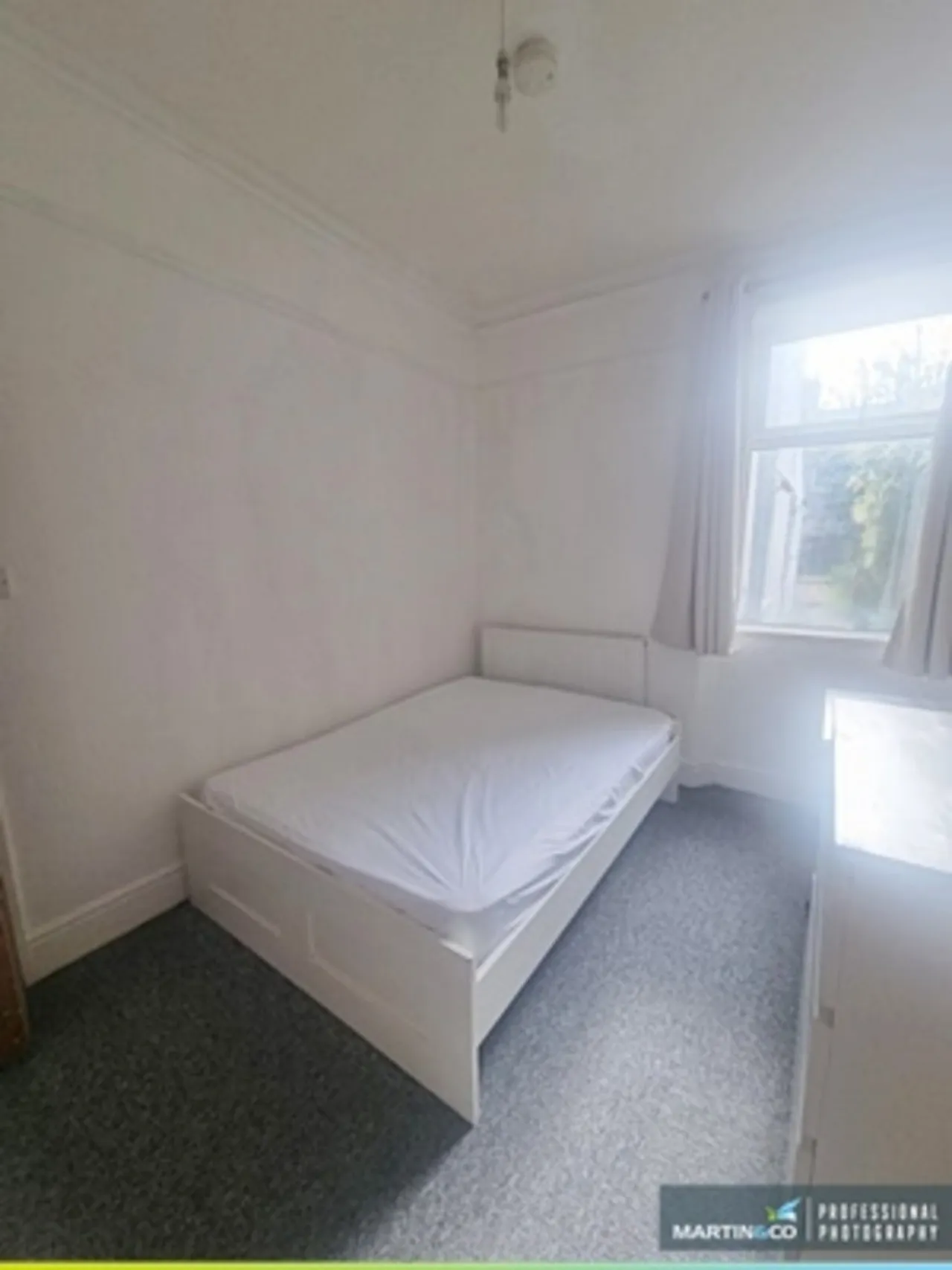 Bangor Street, Roath, CF24, photo 4