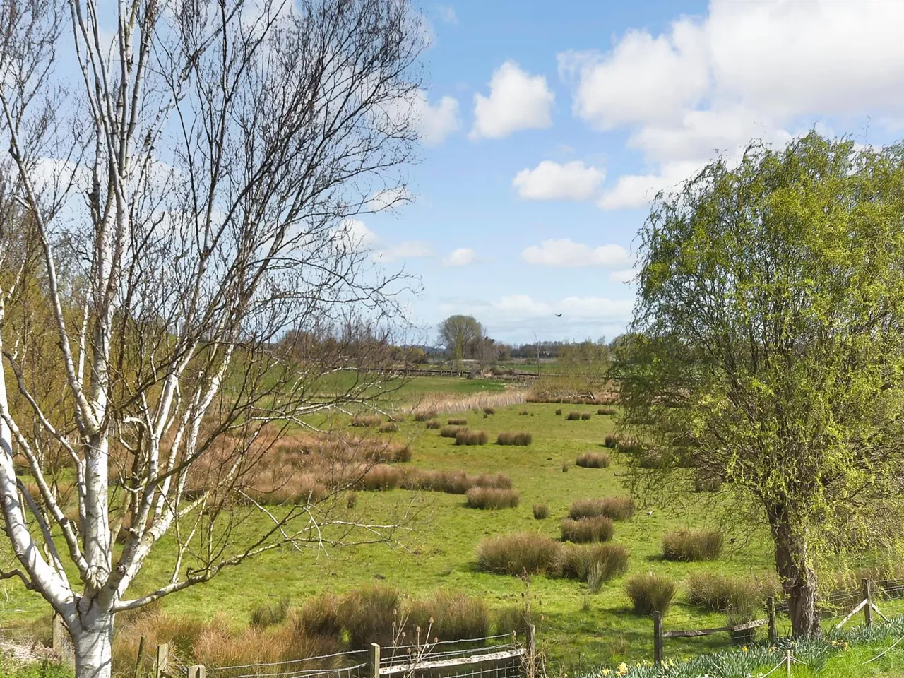 St Marys Meadow, Wingham, CT3, photo 2