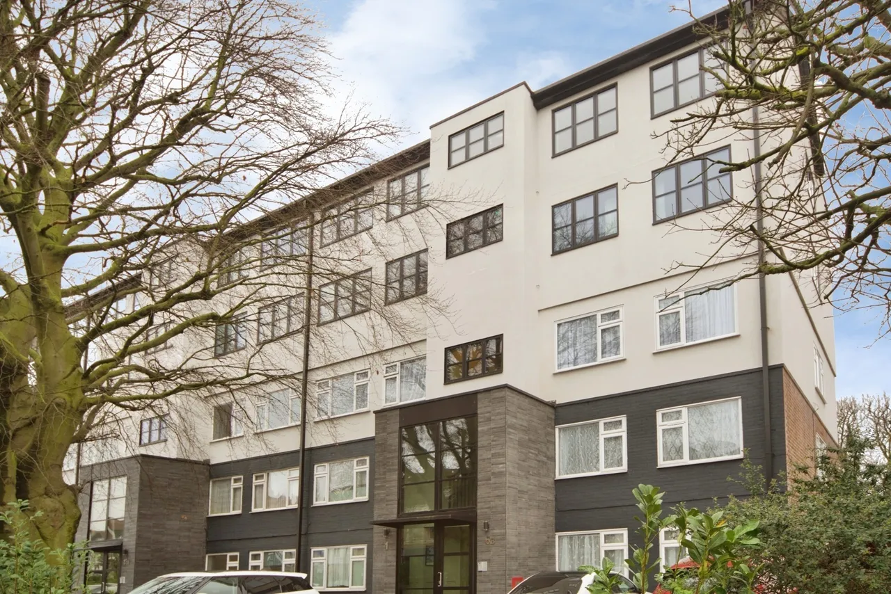 Blake Hall Road, London, E11, photo 17