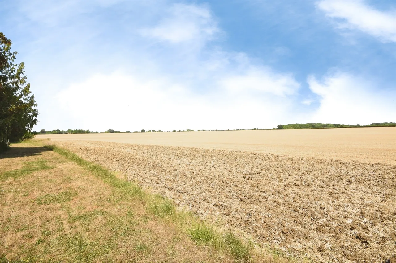 Radwinter Road, Saffron Walden, CB10, photo 17