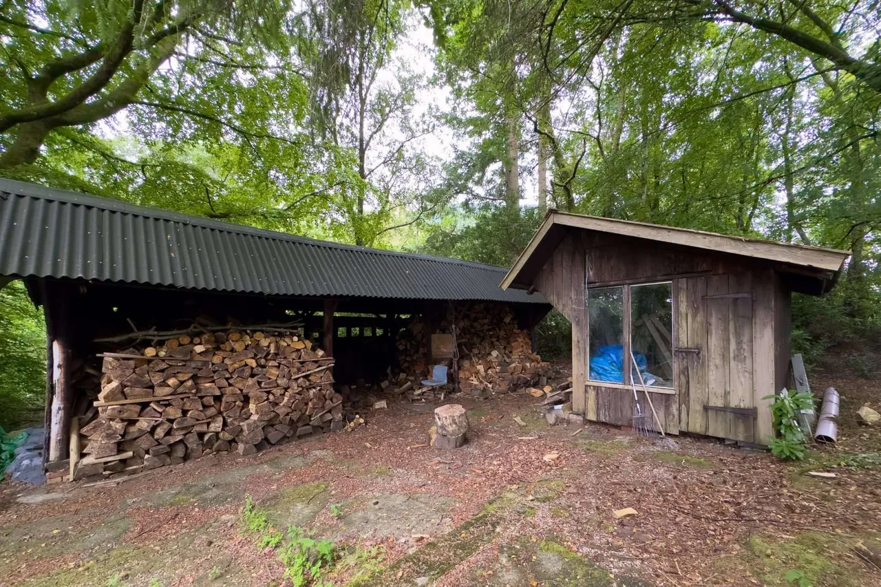 The Mount, Ardentinny, PA23, photo 29