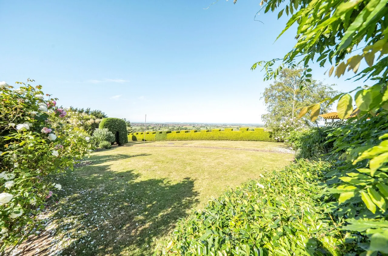 Dancing Hill, North Petherton, TA6, photo 37