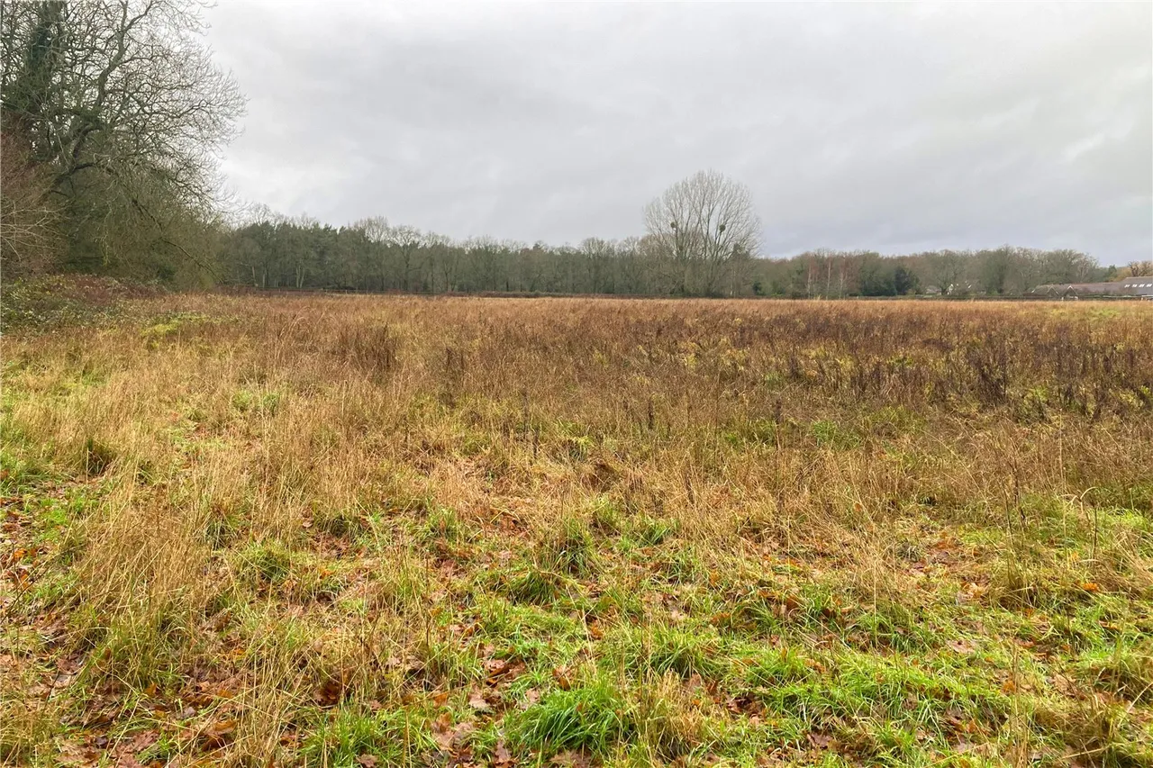 Church Lane, Dogmersfield, Hampshire, RG27 8SZ, photo 5