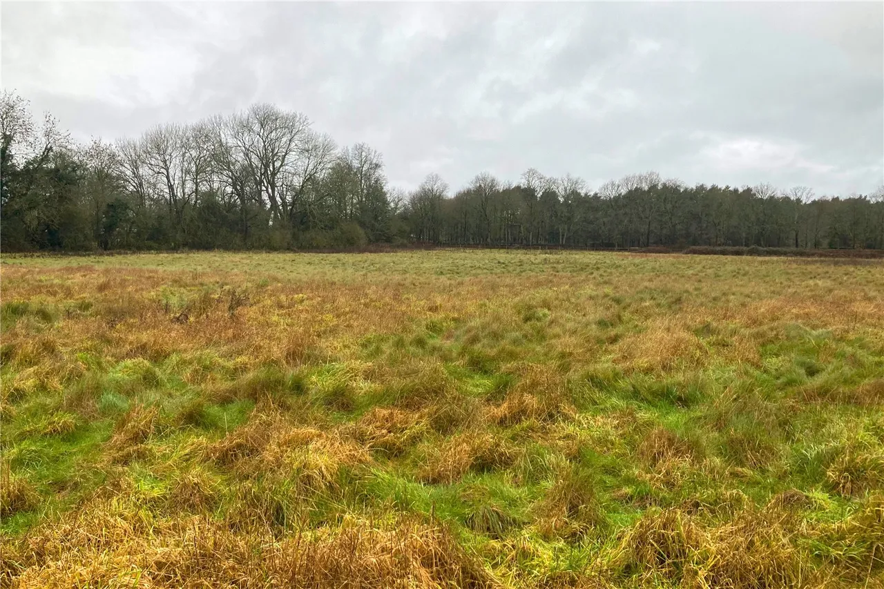 Church Lane, Dogmersfield, Hampshire, RG27 8SZ, photo 7