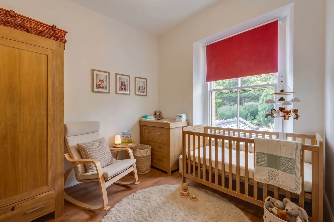 Alexandra Terrace, Haydon Bridge, NE47, photo 11