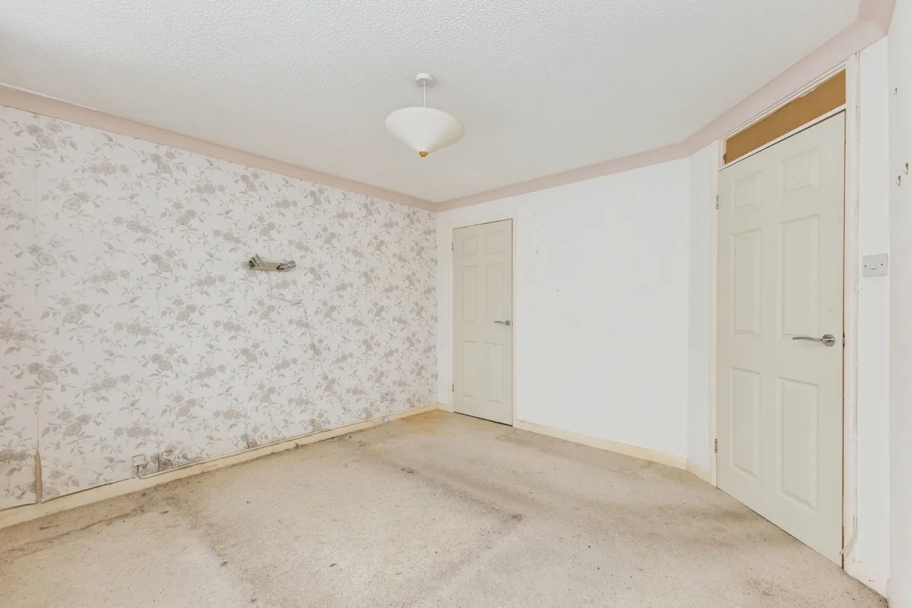Orchid Avenue, Kingsteignton, TQ12, photo 14