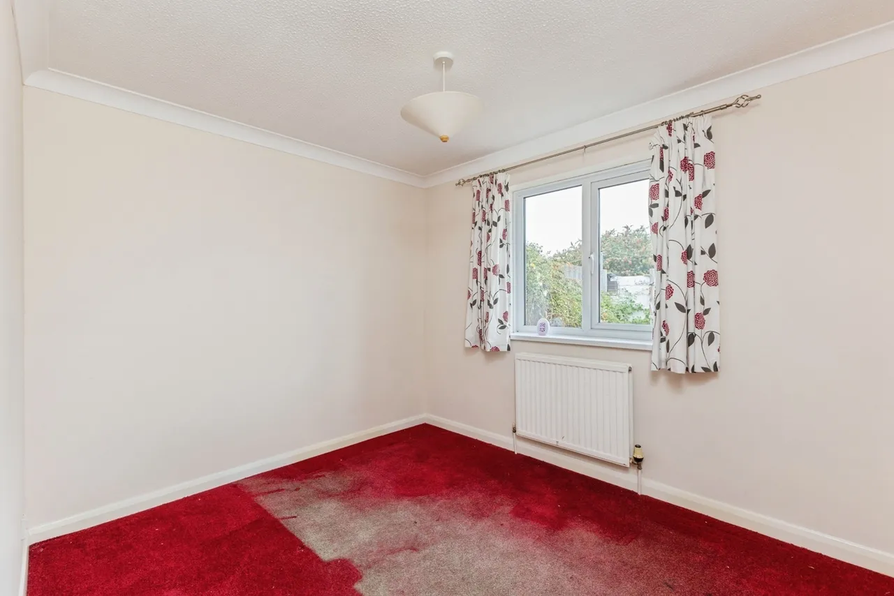 Orchid Avenue, Kingsteignton, TQ12, photo 19