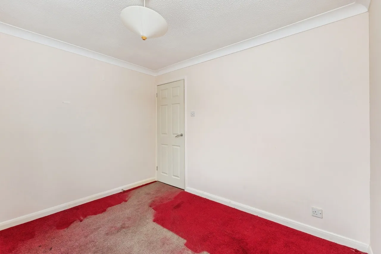 Orchid Avenue, Kingsteignton, TQ12, photo 17